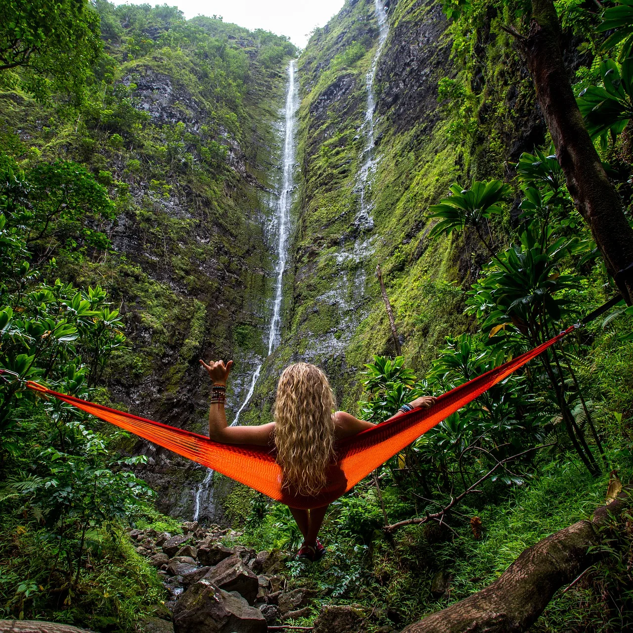 adventure, forest, hammock-1836596.jpg