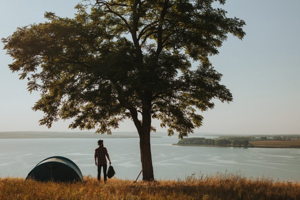 person posing under tree 2026 01 08 22 55 43 utc - Camping Check