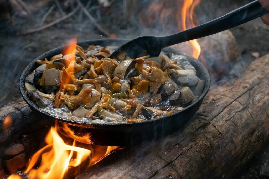 Veganes Campen für Einsteiger: Einfache Rezepte und praktische Tipps für die Outdoor-Küche 4 Mushrooms chanterelles on pan. Cook on campfire