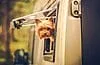 RV Travel with Dog