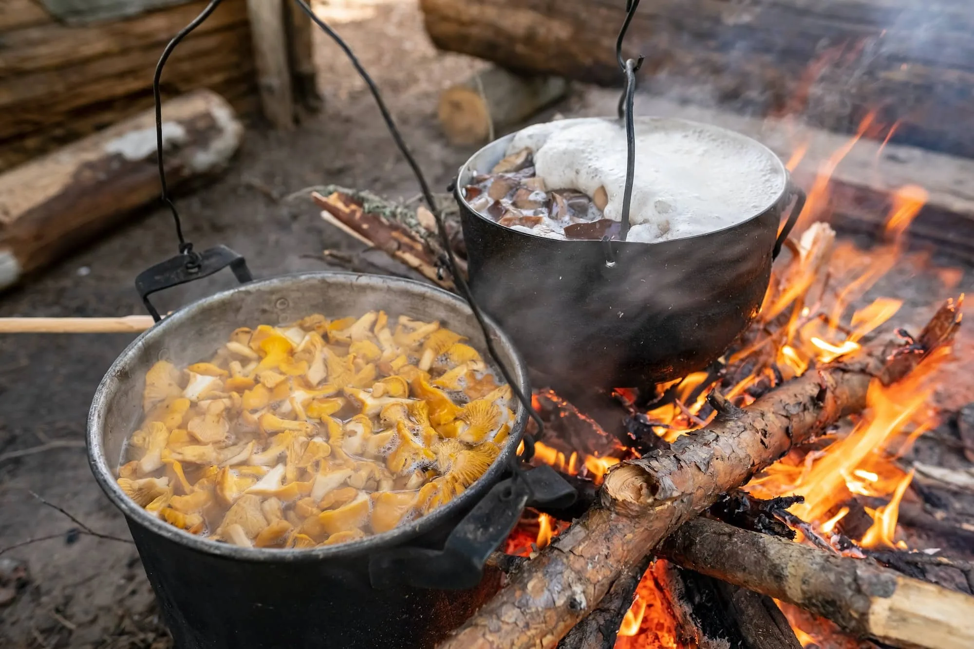 Campingabenteuer pur: Ihr ultimativer Guide für einen unvergesslichen Campingurlaub 5 Cooking fresh, self-picked mushrooms in two bowler, on a campfire, in a camping