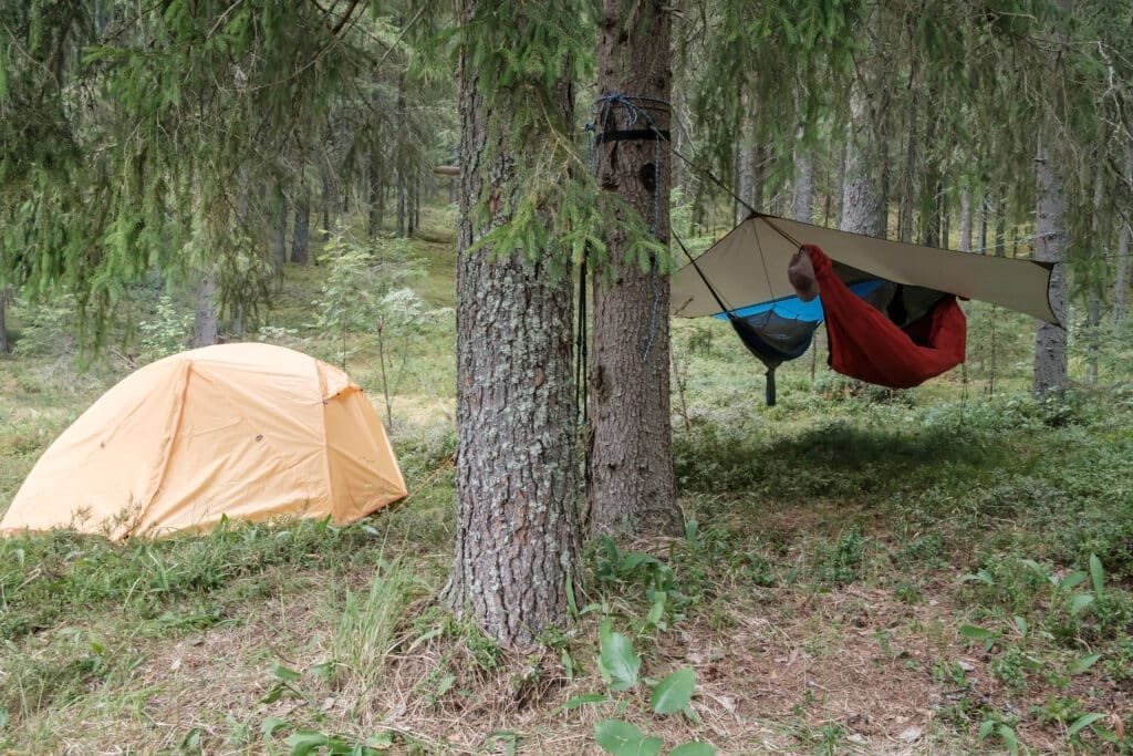 Hängemattenzelte: Schlafen zwischen den Bäumen leicht gemacht 3 Camp in the woods. Tent and two hammocks under a waterproof canopy among the pine trees