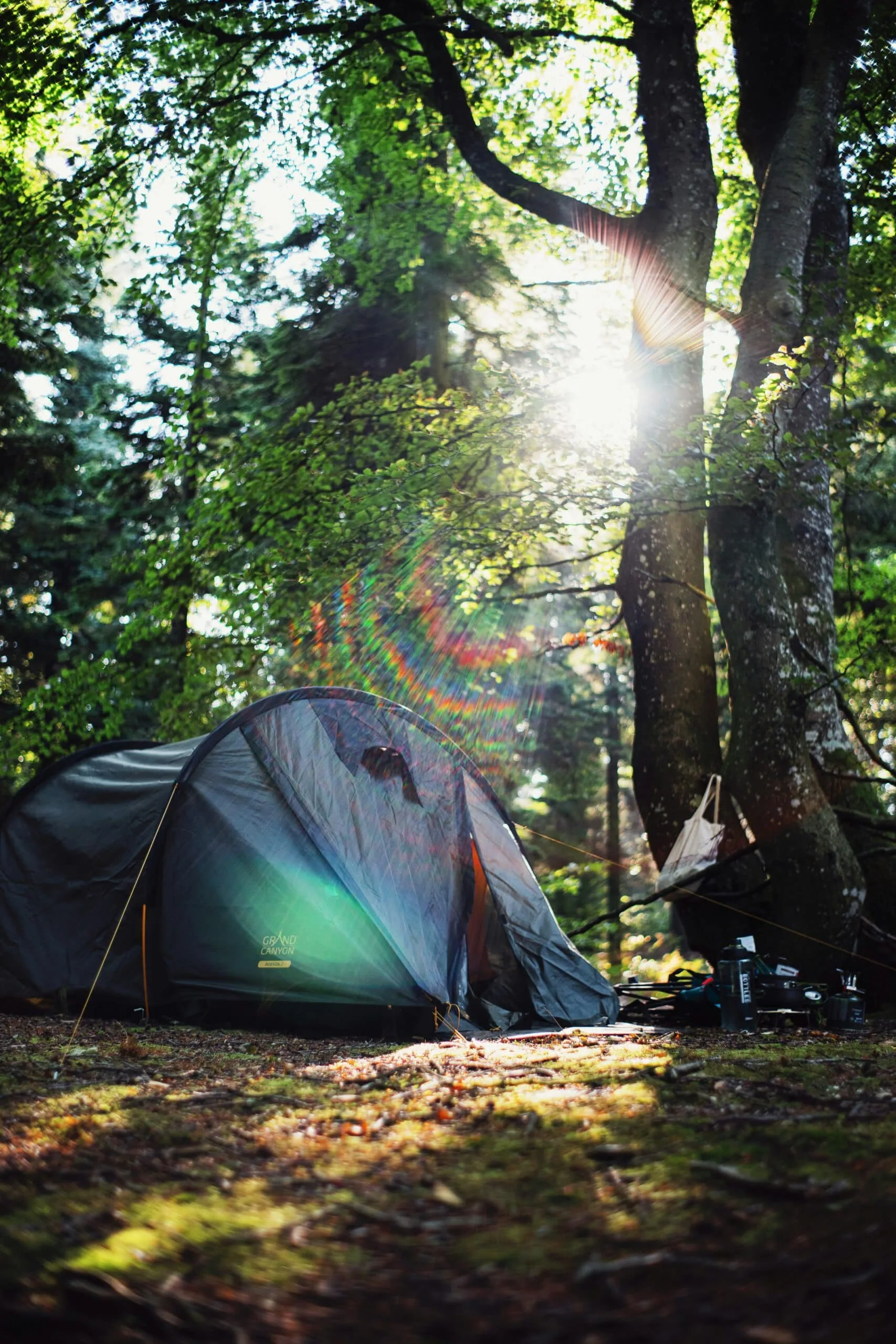 A tent is pitched up in the woods