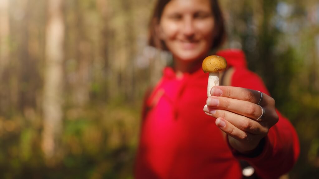 Vegane Mahlzeiten für mehrtägige Wanderungen: Dein kompletter Ratgeber für nährstoffreiche Outdoor-Küche 1 trip to central Russia, St. Petersburg, ecotrail Sestroretsky swamps