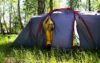 a girl in a yellow raincoat sets up a blue tent for camping in the forest, living in nature, prepari