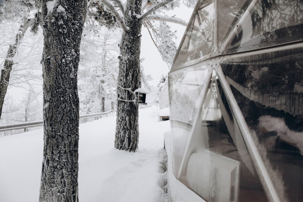 Top Auswahl: Freistehendes Vorzelt mit Rückwand für perfekten Komfort 2 Glamping area with part of dome tent and a bird feeder on tree in the snowy winter forest