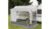 Reimo Villa Store Caravan Vorderwand für Fiamma Caravanstore 440