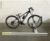 Pollicino Verladehilfe für Fahrräder/E-Bikes, manuell, rechts, 200cm