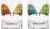 Flamefield Camper Smiles Gläser, 2er Set, 380ml