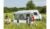 Fiamma Caravanstore ZIP 410 XL Markise, Royal Blue, 410cm
