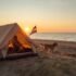 Die besten Tipps für unvergessliches Camping gehen: Einsteiger Guide