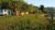 Camping Pilzone
