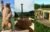 Domaine de l’Ours / Camping Lodge