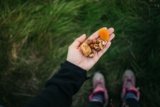 Vegane Mahlzeiten für mehrtägige Wanderungen: Dein kompletter Ratgeber für nährstoffreiche Outdoor-Küche
