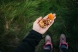 Vegane Mahlzeiten für mehrtägige Wanderungen: Dein kompletter Ratgeber für nährstoffreiche Outdoor-Küche