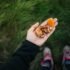 Veganes Campen für Einsteiger: Einfache Rezepte und praktische Tipps für die Outdoor-Küche
