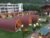 Inn-side Adventure Cabins