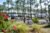 L’AMANDIER “ Camping Les Dunes De Contis “ St Julien en Born