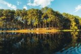 Was ist Naturcamping? Alles, was Sie über diese Art des Campings wissen müssen