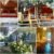 Stazzu la Capretta Farm Camping & Guest Rooms